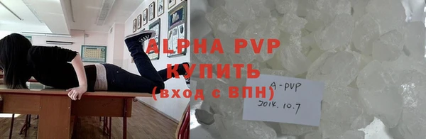 ГАЛЛЮЦИНОГЕННЫЕ ГРИБЫ Белокуриха
