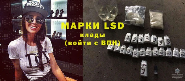 ГАЛЛЮЦИНОГЕННЫЕ ГРИБЫ Белокуриха