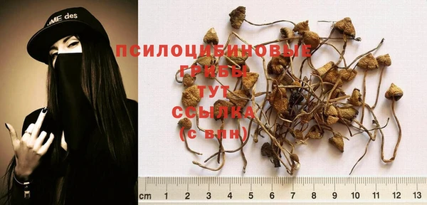 Альфа ПВП Белоозёрский