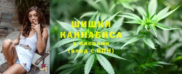 ГАЛЛЮЦИНОГЕННЫЕ ГРИБЫ Белокуриха