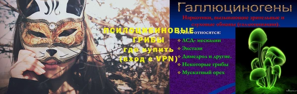 ГАЛЛЮЦИНОГЕННЫЕ ГРИБЫ Белокуриха
