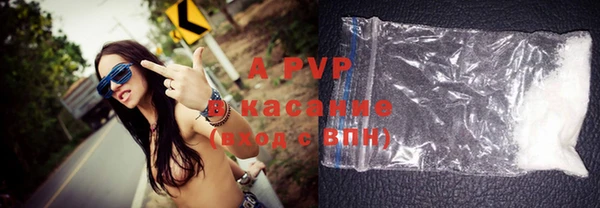 ГАЛЛЮЦИНОГЕННЫЕ ГРИБЫ Белокуриха