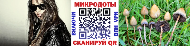 Галлюциногенные грибы Magic Shrooms Ясногорск